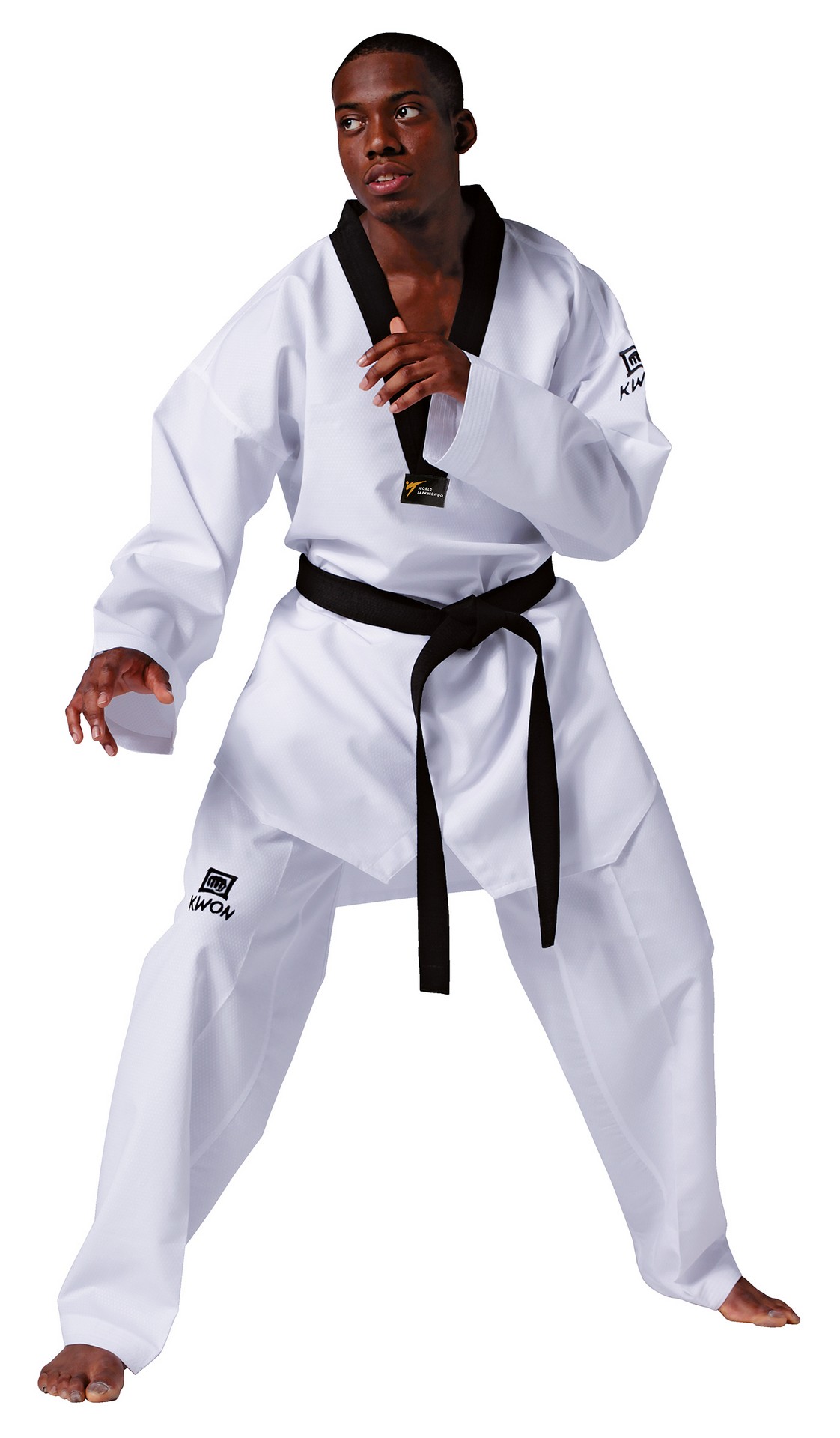 Taekwondo Anzug Revolution WT anerkannt