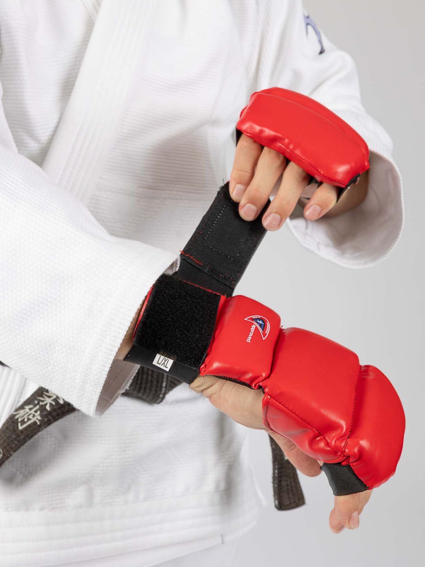 Element 2 von 8 (Bild) – Ju-Jutsu Handschutz Section pro rot