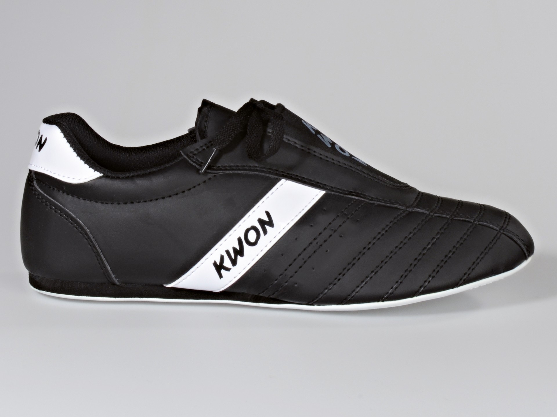 Kampfsportschuhe Dynamic, in 2 Farben