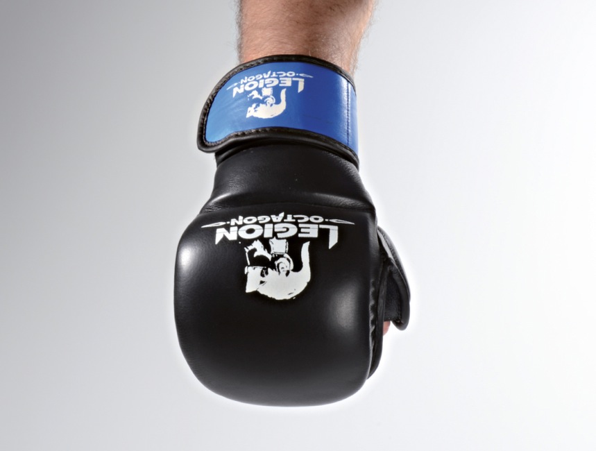 MMA Handschuhe