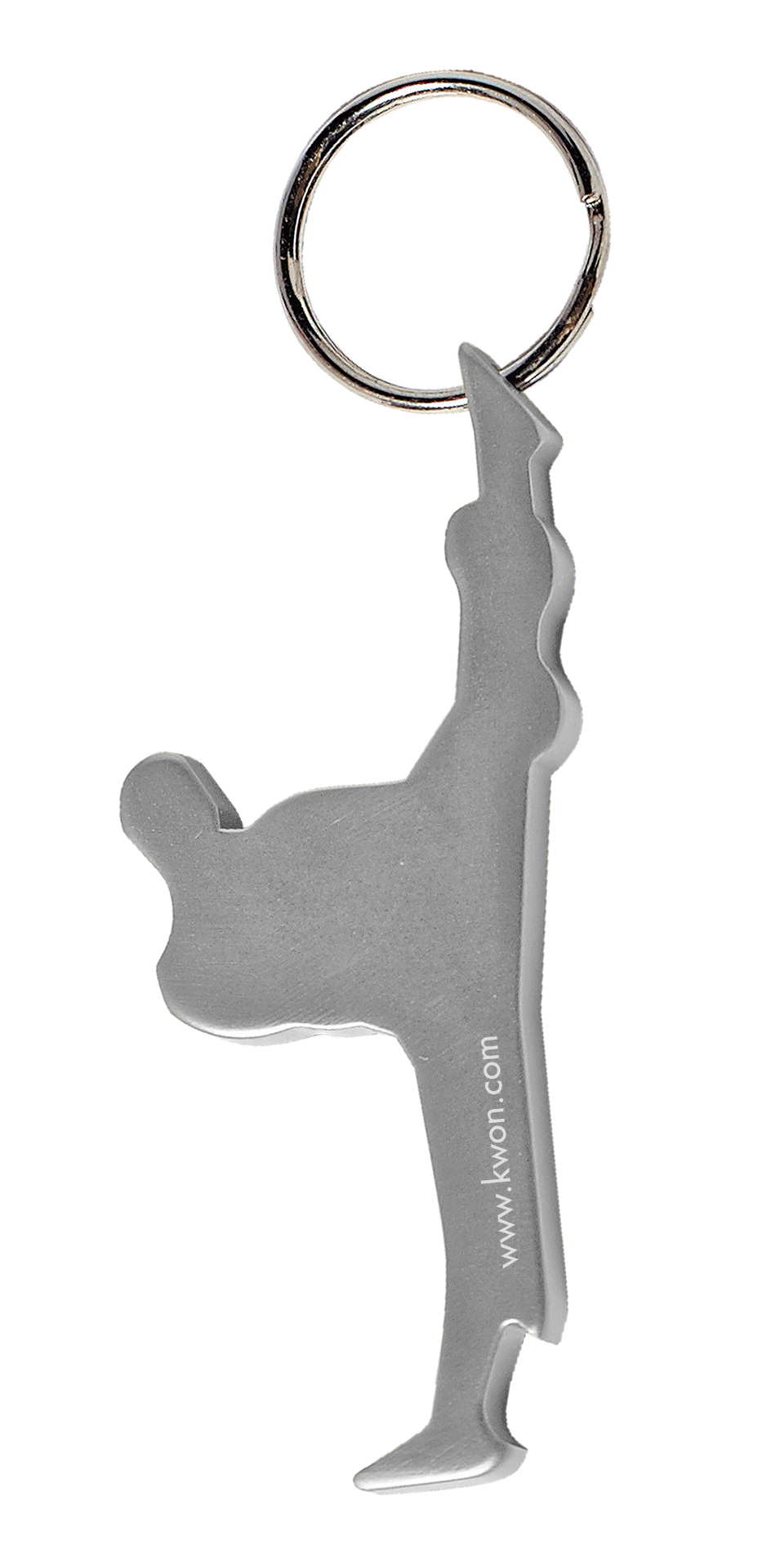 5004023_01_002_19-silber