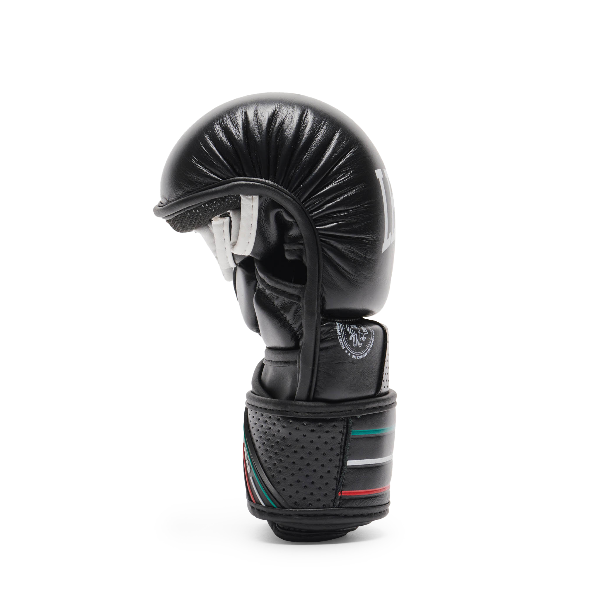 GP122_01_5_MMA-Boxhandschuhe_Leone