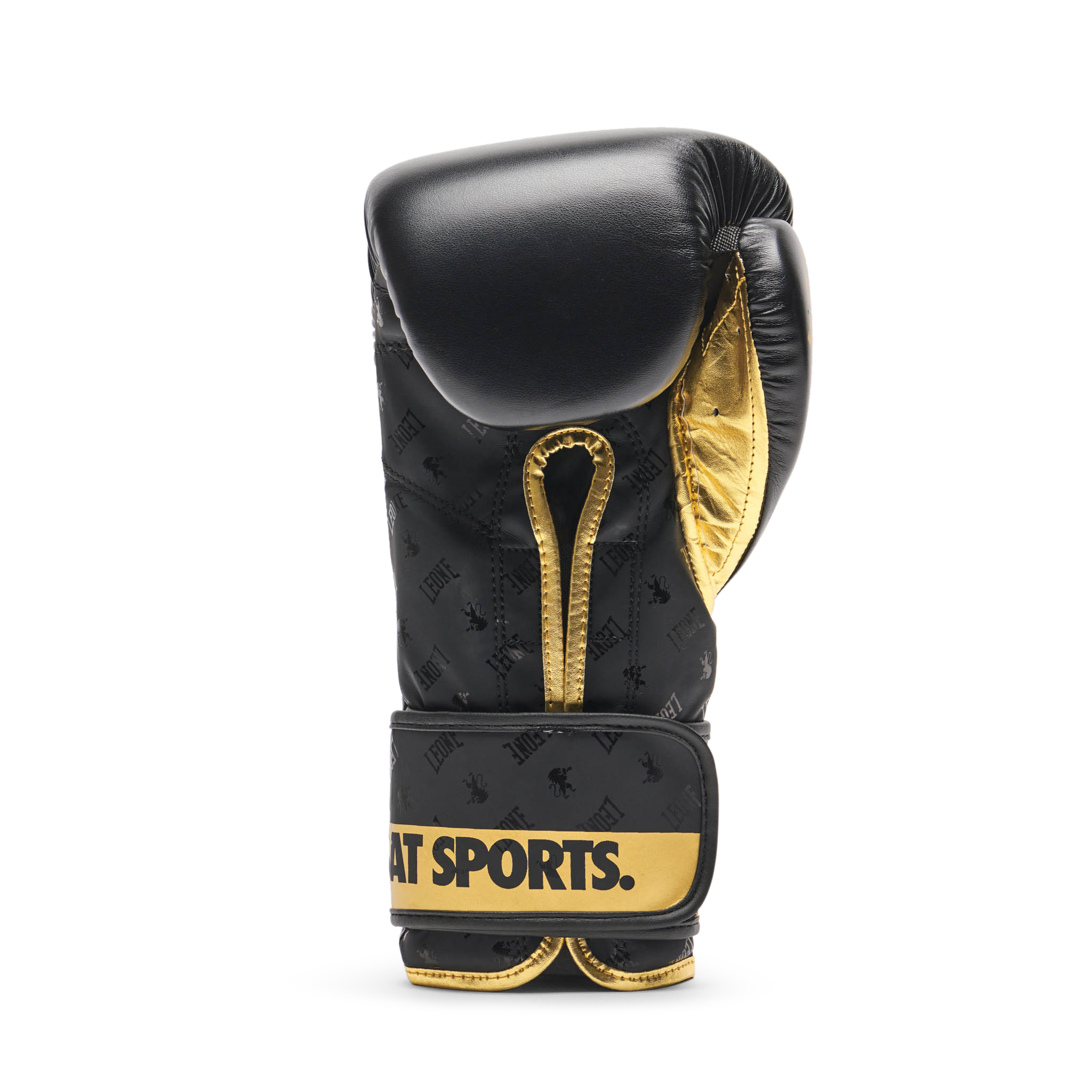 GN220_01_4_Boxhandschuhe_Leone
