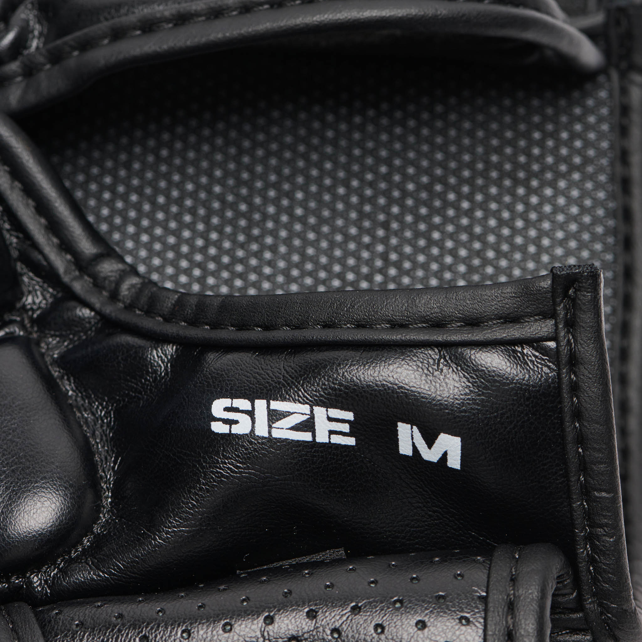 GP122_01_13_MMA-Boxhandschuhe_Leone