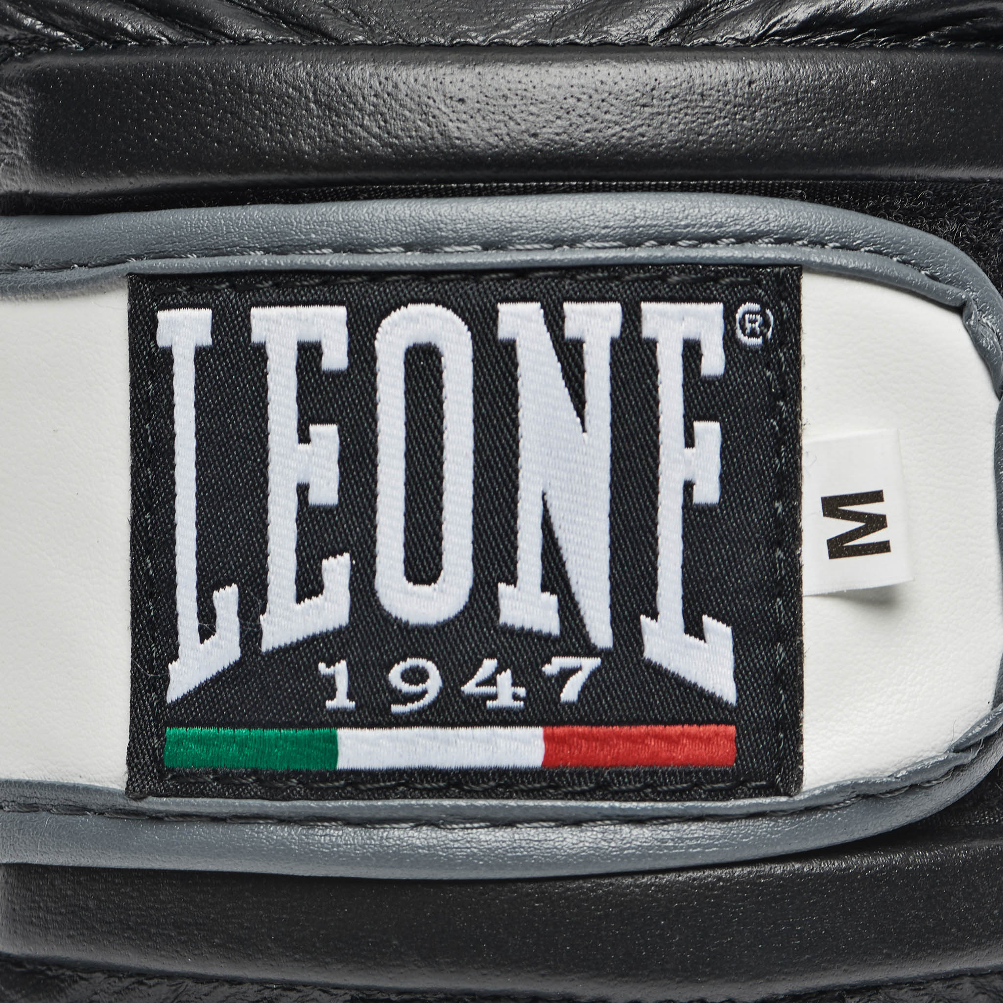 GS091_01_12_Box-Sackhandschuhe_Leone