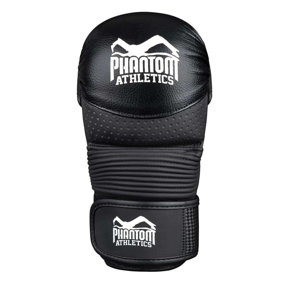 Element 2 von 10 (Bild) – MMA Sparring Handschuhe RIOT Pro