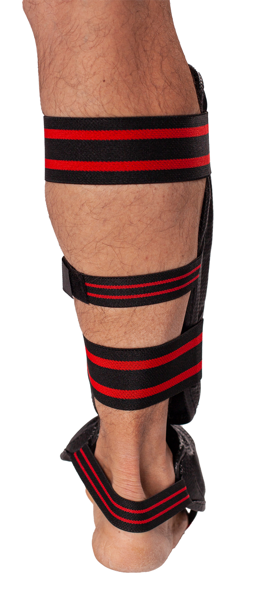 40466_01_003_22cMCtpLL1IqTUl