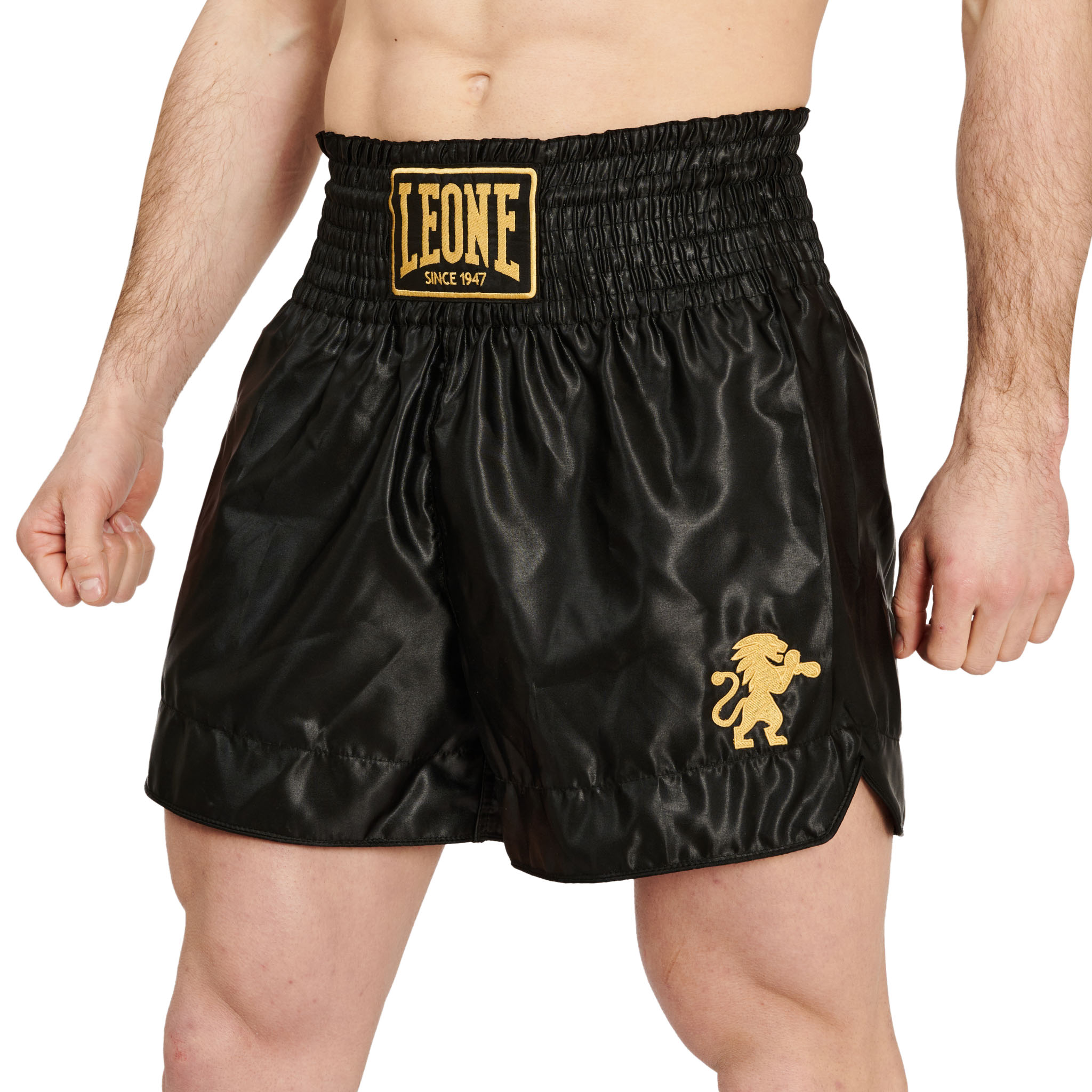 Leone Thaiboxhose Basic-2 Leone Thai-Kick Short Basic-2