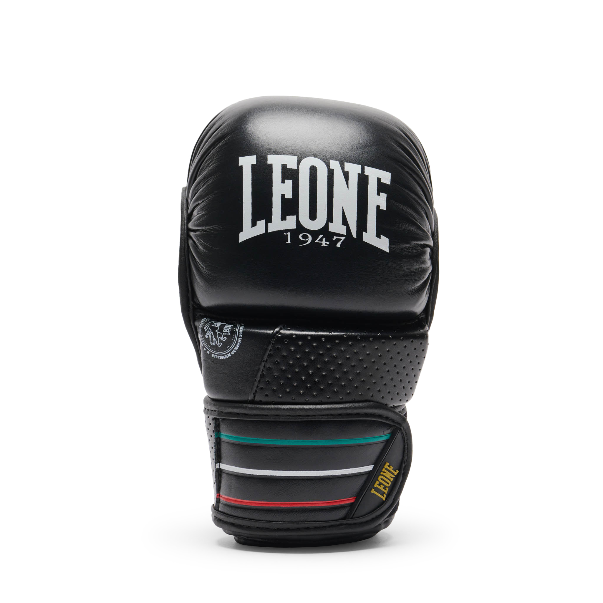 GP122_01_2_MMA-Boxhandschuhe_Leone